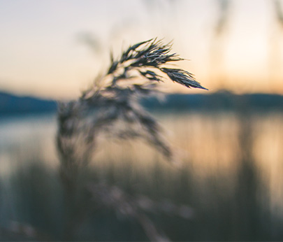 EMDR (Eye Movement Desensitization and Reprocessing Therapy)